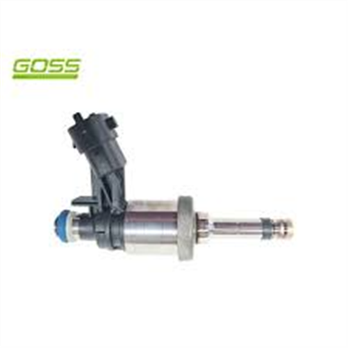 FUEL INJECTOR (DIRECT INJ.) PID048