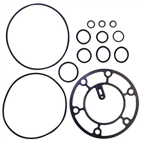 Gasket To Suit Delphi V5