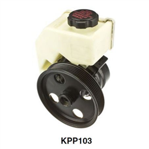 Power Steering Pump FORD FALCON