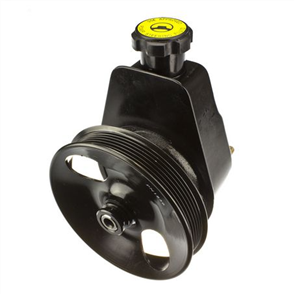 Power Steering Pump FORD FALCON