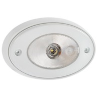 Interior Light LED 10 to 30V Flush Mount