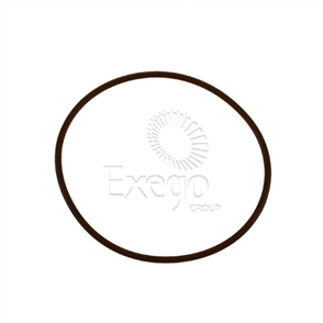 Oring Saginaw P/P E/Cover Nbr