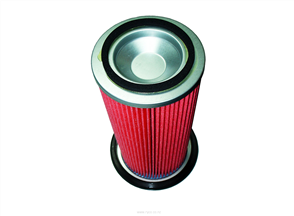 RYCO AIR FILTER - NISSAN VANETTE/DATSUN A1334