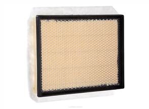 RYCO AIR FILTER - HOLDEN/OPEL A1573