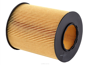 RYCO AIR FILTER - MERCEDES/PEUGEOT A1673
