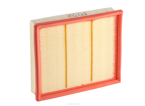 RYCO AIR FILTER - MERCEDES (W169) A1674