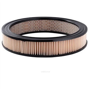 RYCO AIR FILTER - FORD CAPRI/ESCORT