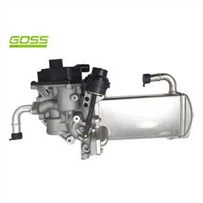 EGR COOLER & VALVE ASSEMBLY EV158