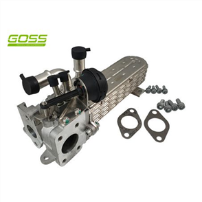 EGR COOLER & VALVE ASSEMBLY EV163