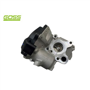 EGR VALVE EV165