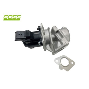 EGR VALVE EV167