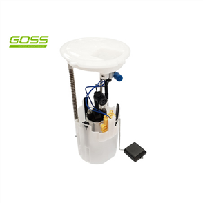 FUEL PUMP MODULE GE504