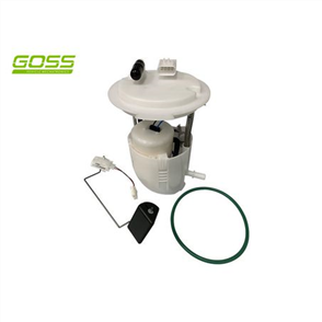 FUEL PUMP MODULE GE589