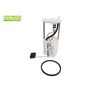FUEL PUMP MODULE GE601