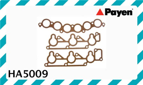 GASKET MANIFOLD HA5009