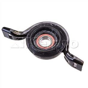 Tailshaft Centre Bearing