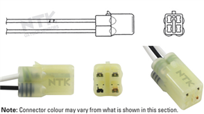 Oxygen Sensor