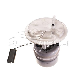 FUEL PUMP INTERNAL ELECTRIC