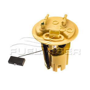 FUEL PUMP INTERNAL ELECTRIC