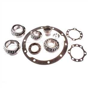 Overhaul Kit Differential