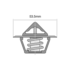 THERMOSTAT 82" TT276180