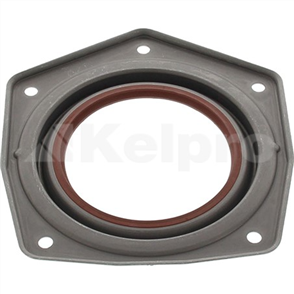 Oil Seal