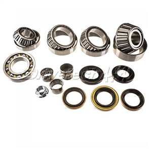 Differential Overhaul Kit