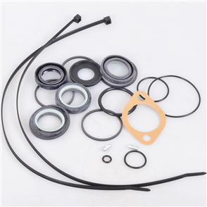 P2148 - G.S.R. KIT R&P COMMODORE VB-VK RACK REBUILD KIT