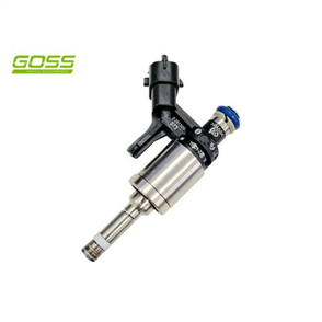 INJECTOR - DIRECT INJ. NEW PID025
