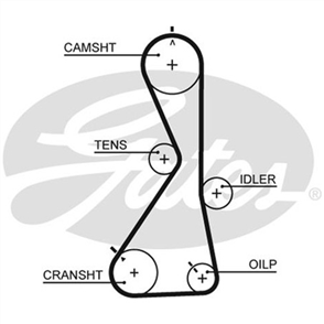 GATES TIMING BELT - 122 X 29MM HSN C T1021