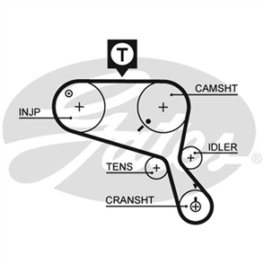 GATES CURVLINEAR TIMING BELT T1031