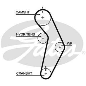 GATES CURVLINEAR TIMING BELT T245