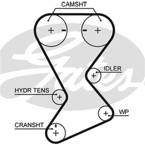 GATES CURVLINEAR TIMING BELT T246