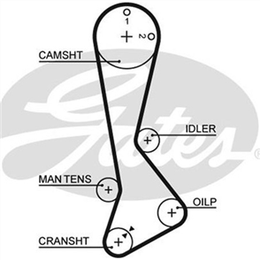 GATES TIMING BELT - 121 X 24MM HSN C T824