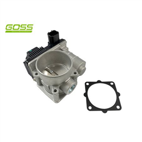 THROTTLE BODY TB036