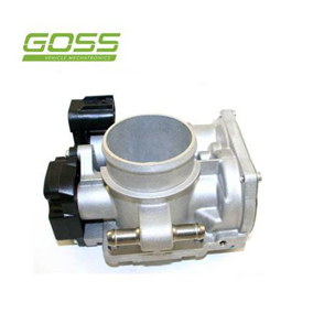 THROTTLE BODY TB045