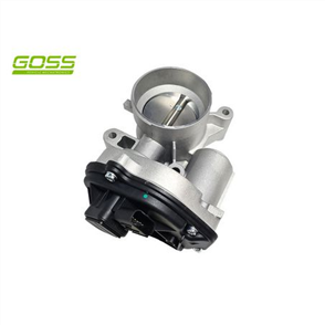 THROTTLE BODY TB070