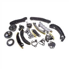 HOLDEN PUMPS CHAIN TIMING KIT - WITH GEARS TTCK30