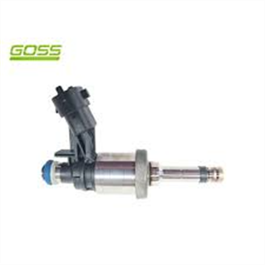 INJECTOR - DIRECT INJ. NEW PID043