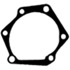 Water Pump Gasket