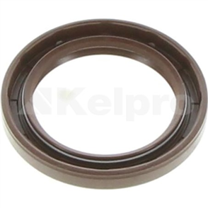 Oil Seal