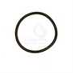 Oring Pump to Case Suits Toyota FZJ80