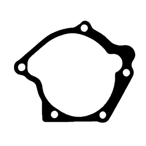 Water Pump Gasket