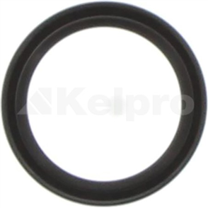 Oil Seal