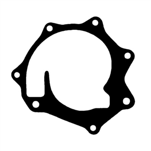 Water Pump Gasket