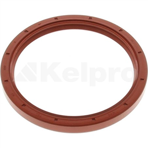 Oil Seal