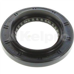 Oil Seal