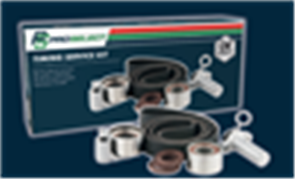 Timing Belt Kit Hyundai Terracan 3.5l G6CU