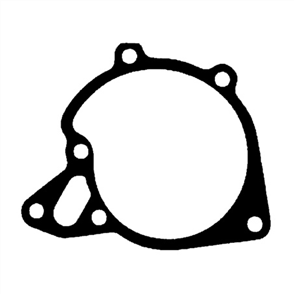 Water Pump Gasket