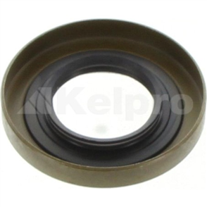 Oil Seal